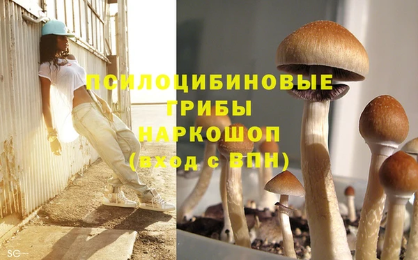 соль ск Зерноград