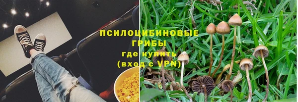 соль ск Зерноград
