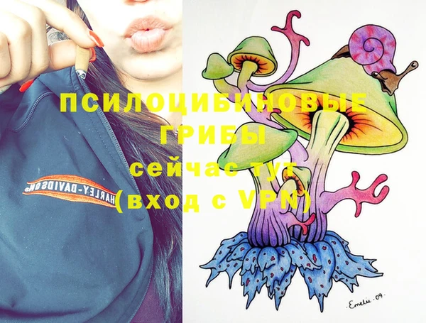 бутират Зеленодольск