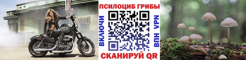 Псилоцибиновые грибы Cubensis  Купить где  Макарьев 