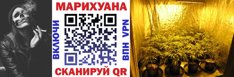 Купить  Макарьев  Канабис VHQ 